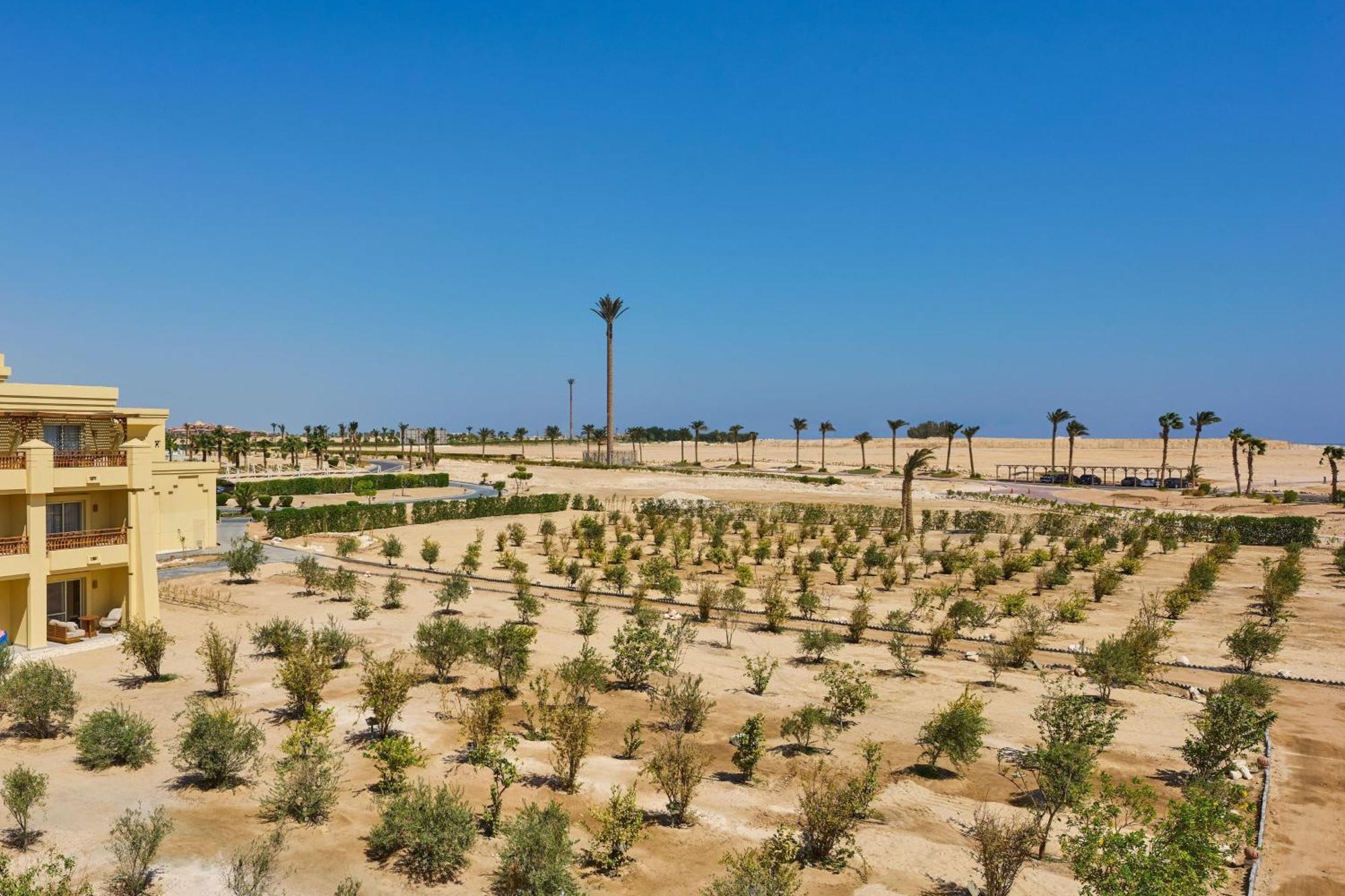 Sheraton Soma Bay Resort Hurghada Exterior photo Olive grove in El Alamein